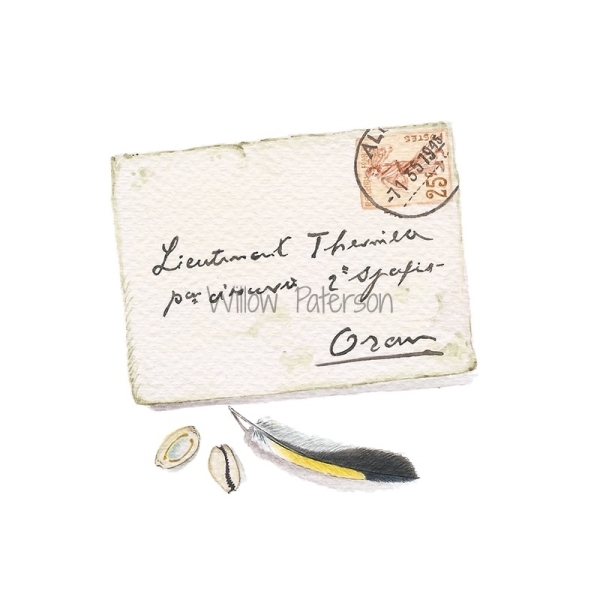 Small Letter, goldfinch feather & cowries