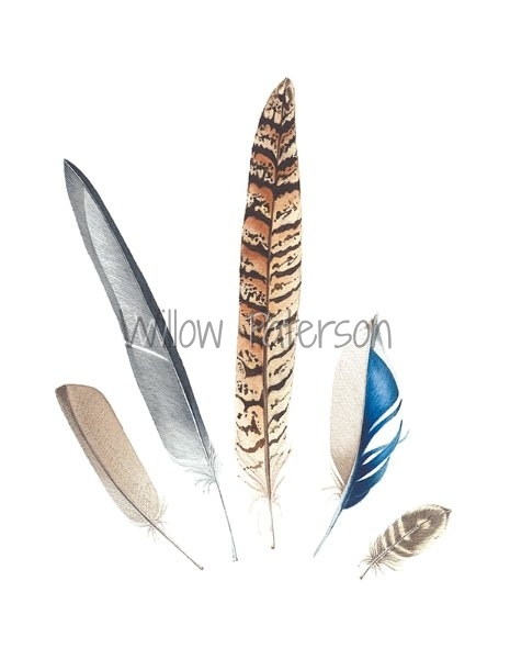 Feather Fan