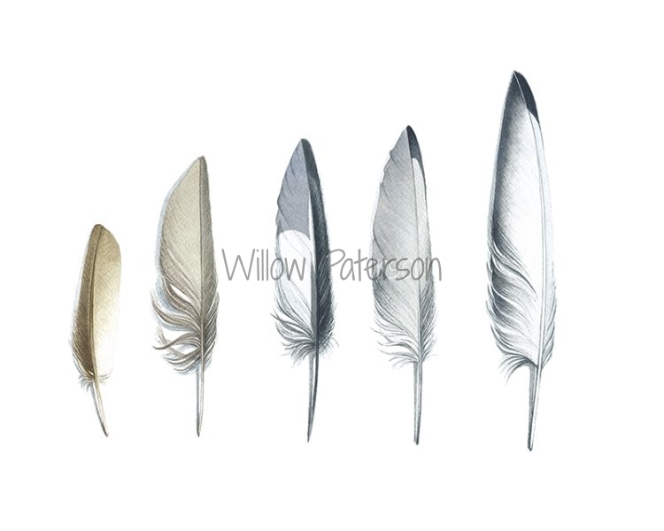 Feathers in a Row