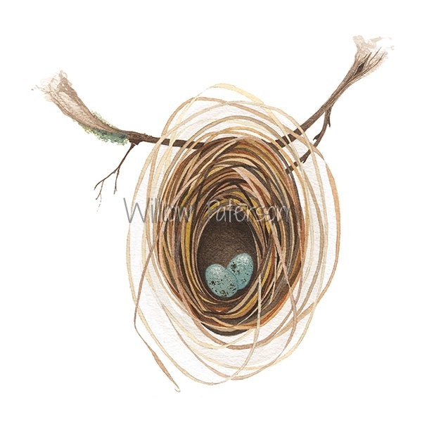 Weaverbird Nest 4