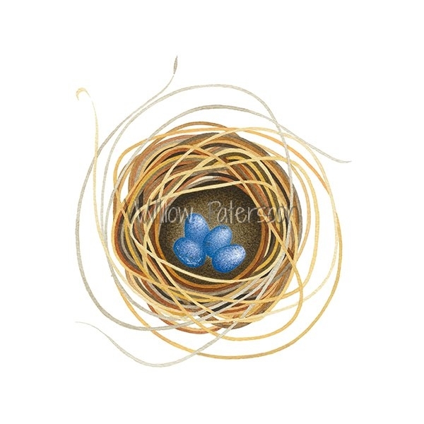 Nest (vii)